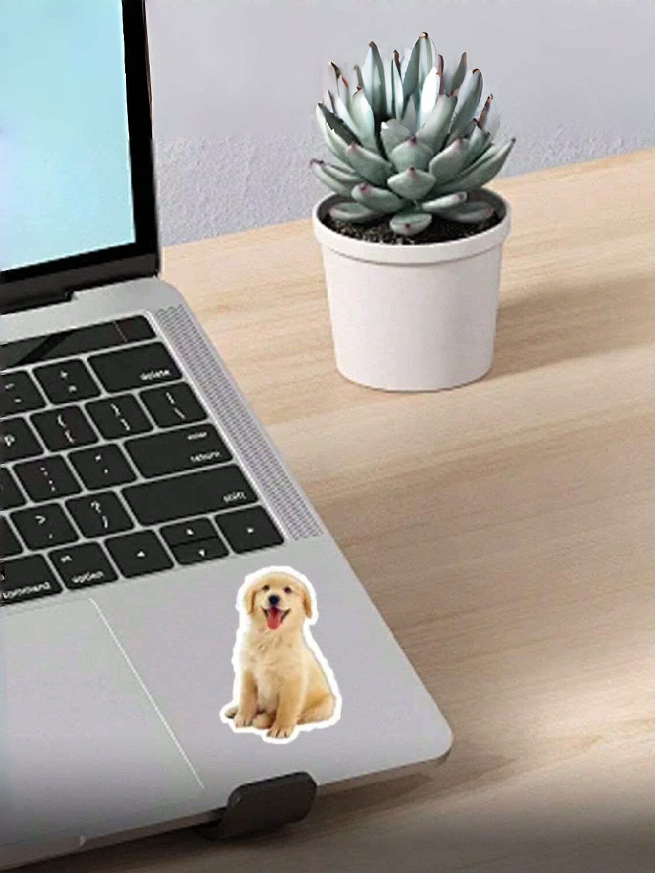 Customized Personalized Photo Stickers Pet Photo Stickers